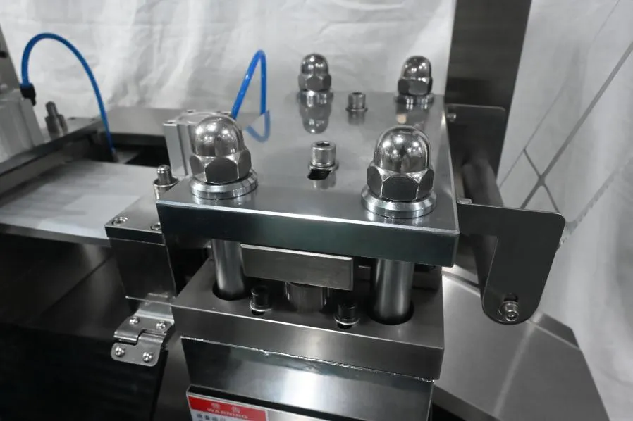 Was ist eine Blisterverpackungsmaschine? 5 Formstation