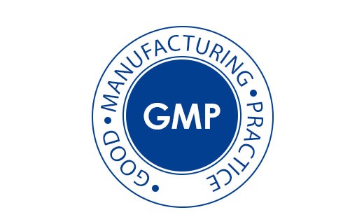 gmp-logo