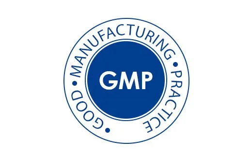 Was sind GMP, GDP, FDA, DMF und CEP: Die wichtigsten Unterschiede verstehen 1 gmp-logo