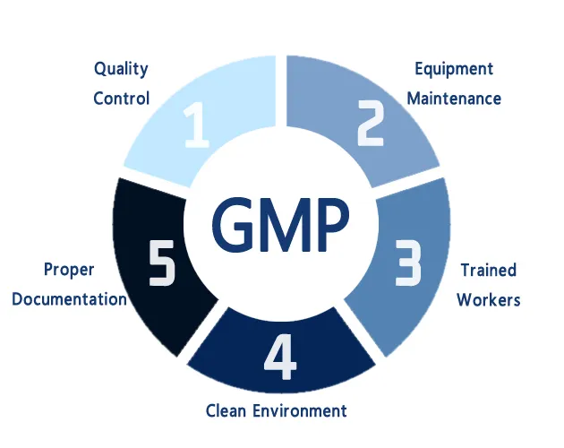 GMP nedir