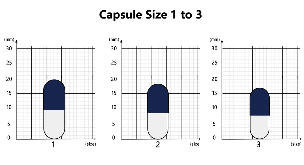 The Ultimate Guide to Capsule Size Chart 7 Capsule-Size-1-2-3