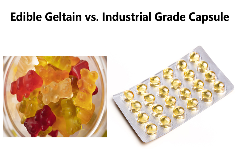 Gelatina comestible vs. cápsula de grado industrial