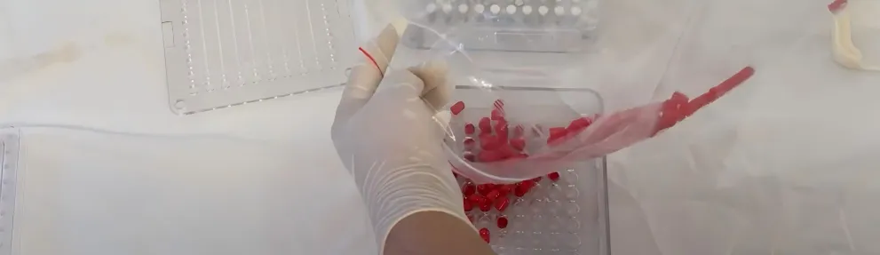How to Fill Capsules: Video Guide 14 Load-the-capsule-caps-into-Cap-Plate