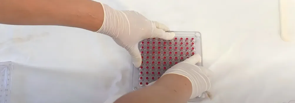 How to Fill Capsules: Video Guide 16 Manually-Press-Capsules
