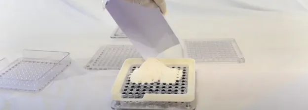 How to Fill Capsules: Video Guide 10 Pour-the-Powder-into-the-capsule-plate-holes-for-filling