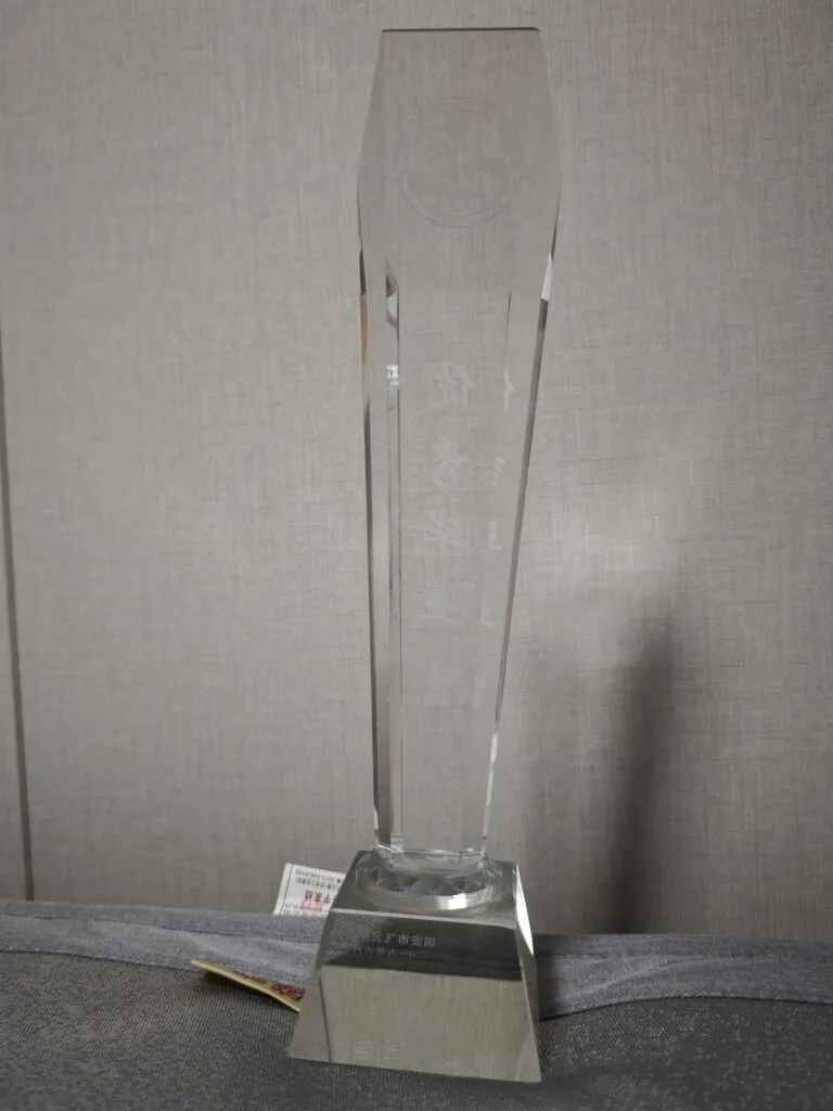 Ruian Economic Contribution Award