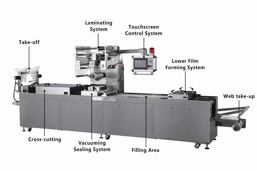 Thermoforming Packaging Machine Diagram