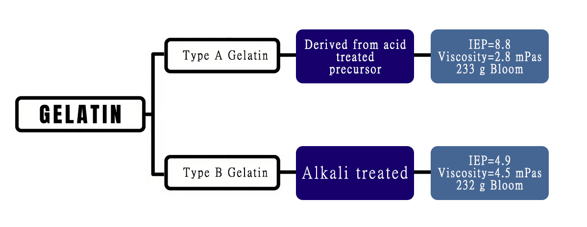 Geltain tipo A-VS-Geltain tipo B