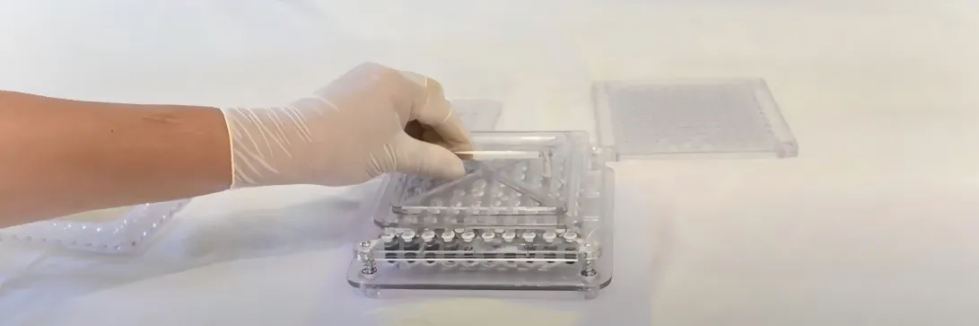 How to Fill Capsules: Video Guide 12 Use-the-compacting-plate-to-press-onto-the-powder-filled-capsules