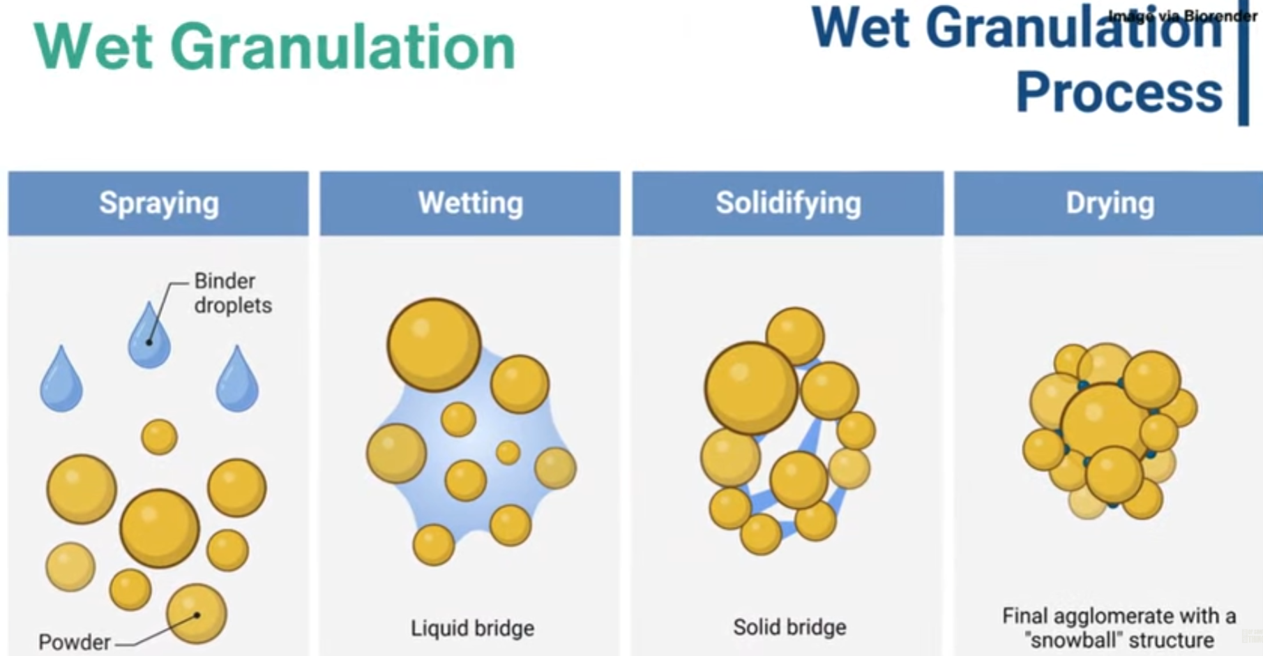 Wet Granulation