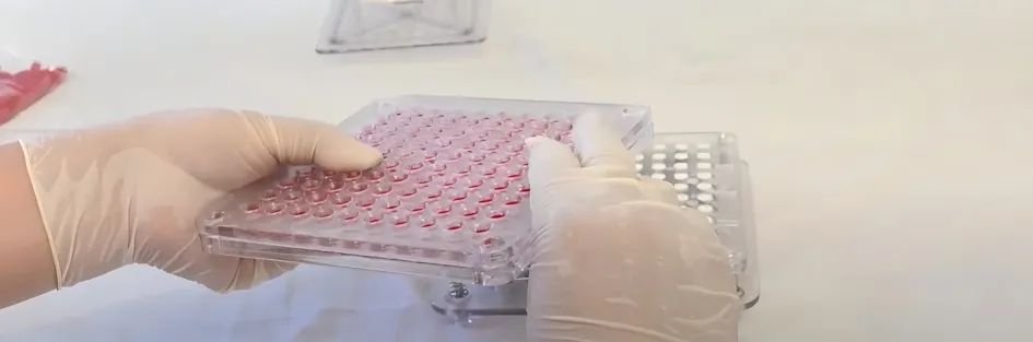 How to Fill Capsules: Video Guide 15 cap plate
