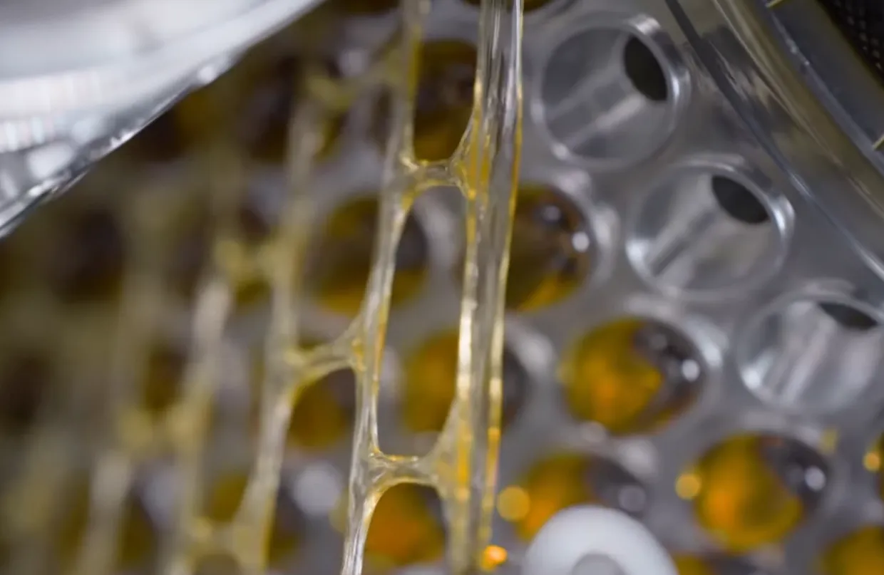 Was ist eine Softgel-Kapselmaschine? 5 Herstellung von Weichgelbändern