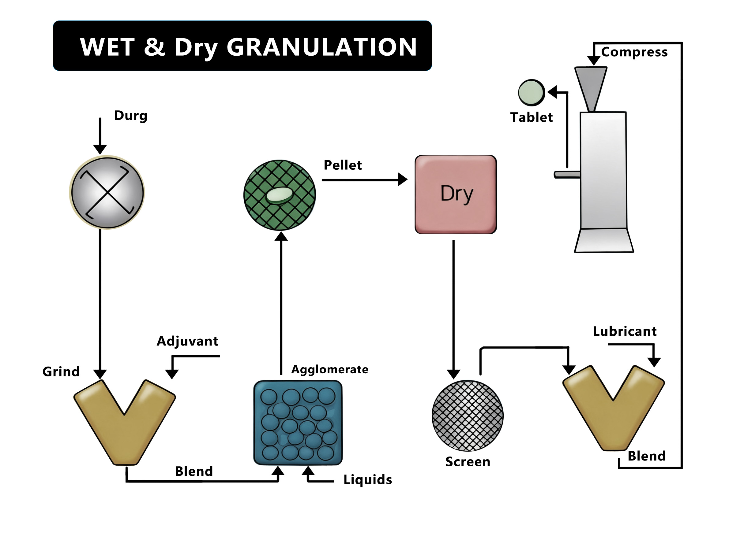Granulation humide et sèche