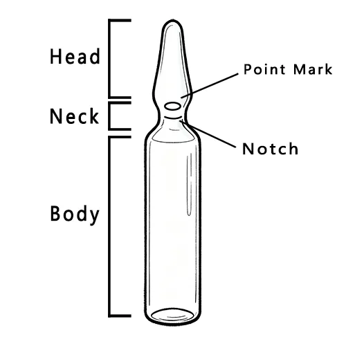 What Is a Glass Ampoule? A Guide From Production To Proper Use 1 Ampoule Diagram