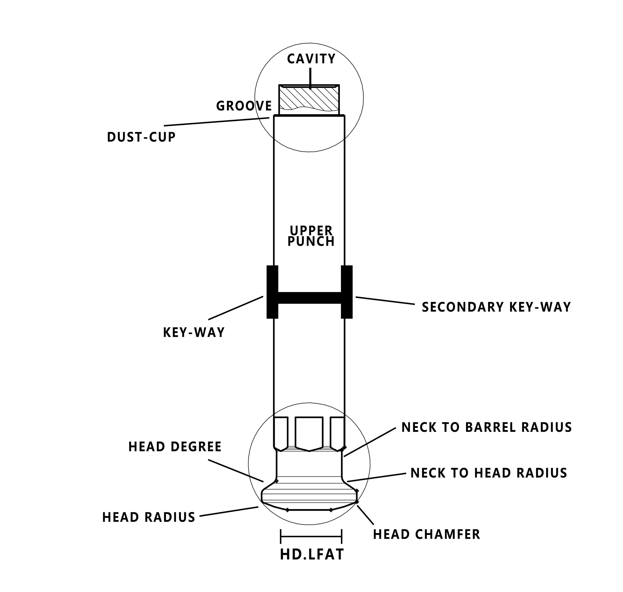 錠剤パンチとダイの図