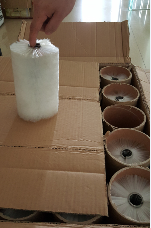 Capsule Polisher Brush