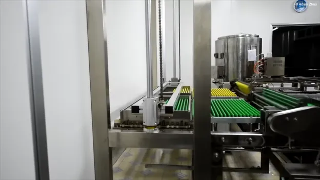 What Are Capsule Molds? All Types You Need To Know 9 Mold rotation and drying
