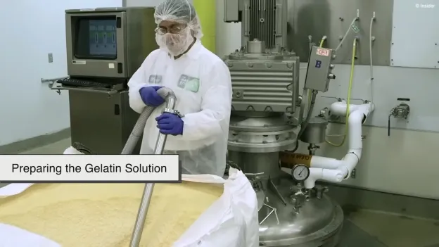 What Are Capsule Molds? All Types You Need To Know 7 Preparing the Gelatin solution