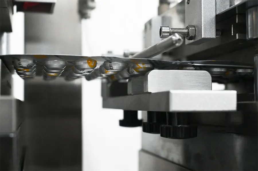 Complete Guide to Alu Alu Blister Packaging Machine 7 Sızdırmazlık İstasyonu