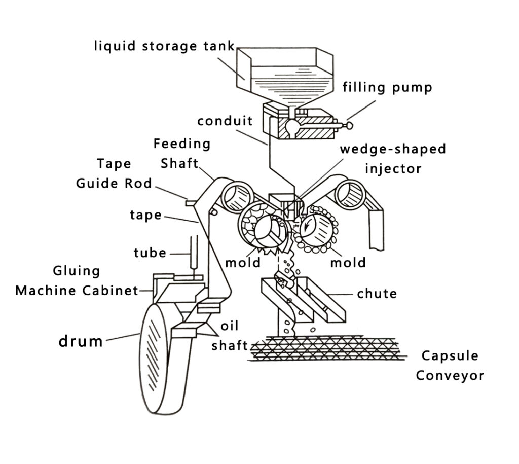 Softgel Encapsulation Machine Process Flow Diagram