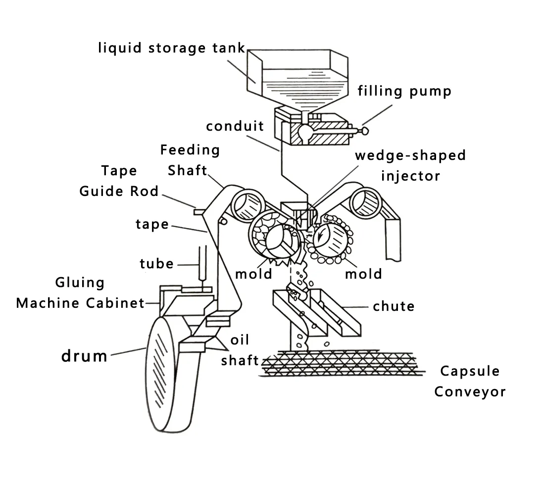 ¿Qué son las cápsulas de gelatina blanda fabricadas mediante el proceso de troquel rotativo? 1 Diagrama de flujo del proceso de la máquina encapsuladora de cápsulas blandas