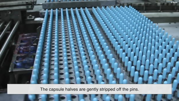 Retirer et couper les moitiés de capsules