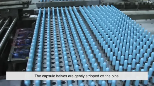 What Are Capsule Molds? All Types You Need To Know 10 Stripping and cutting capsule halves