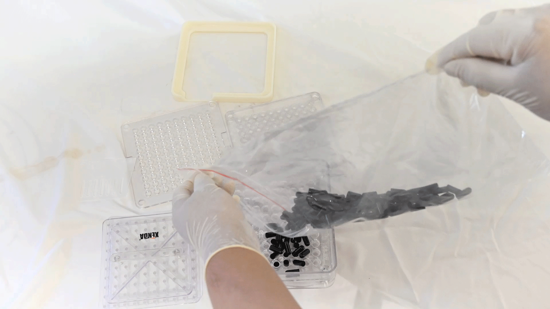 Загрузите тела капсул.