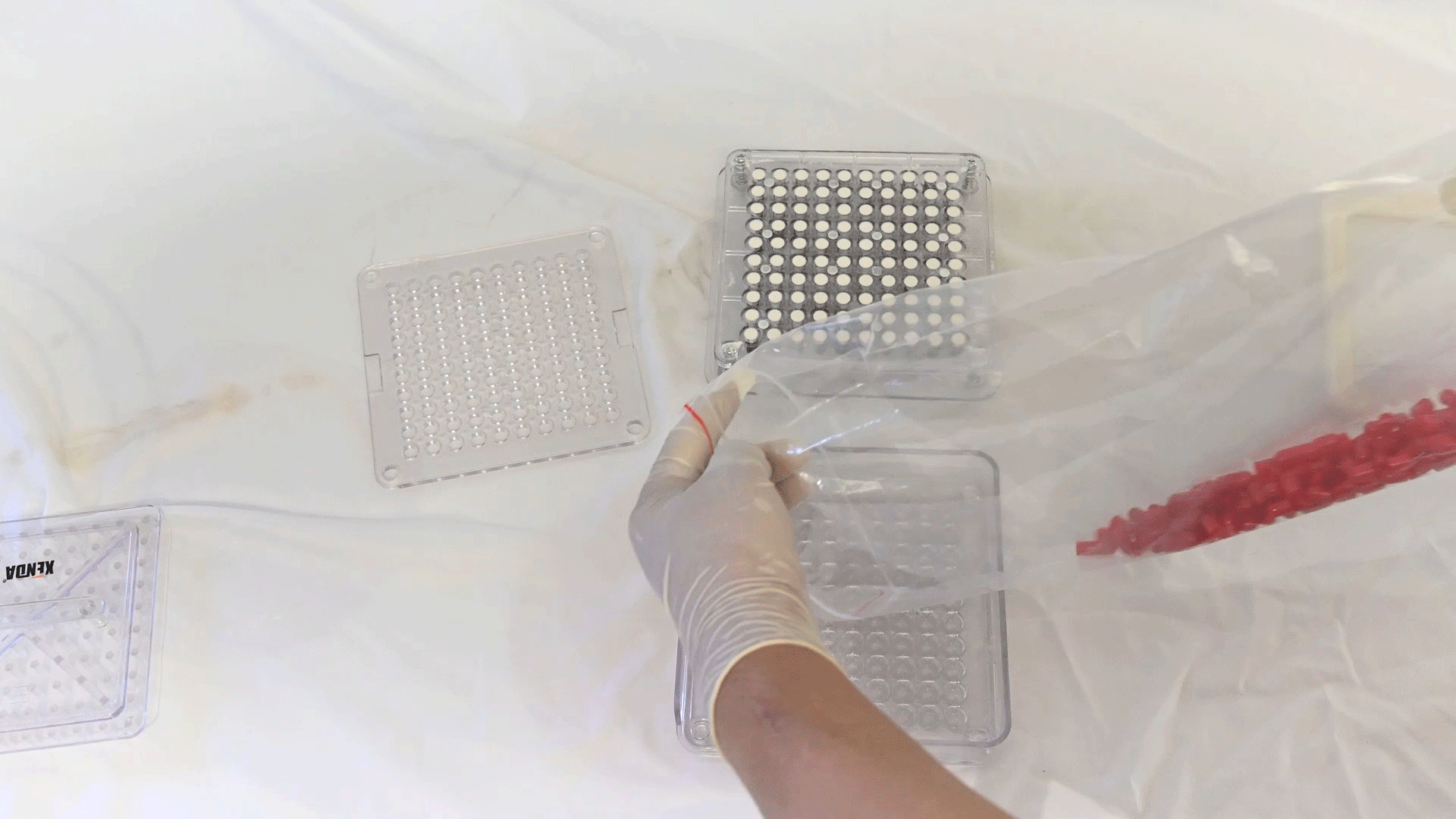 Вставьте крышки в капсулы.