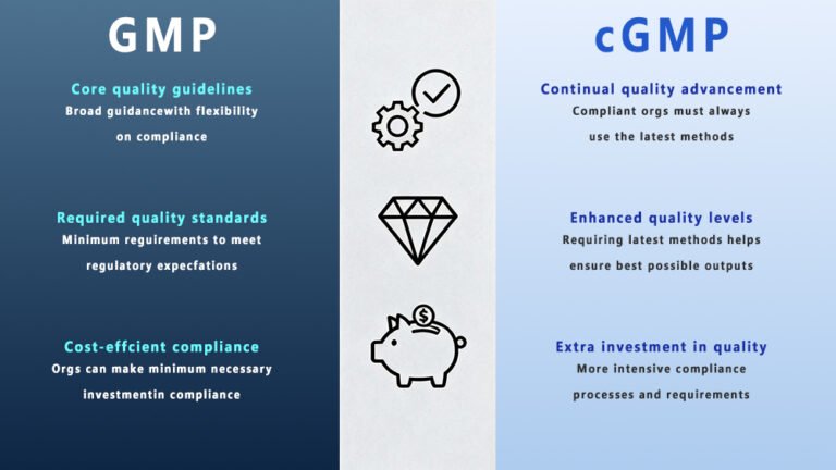 Blog 4 GMP ve cGMP Karşılaştırması