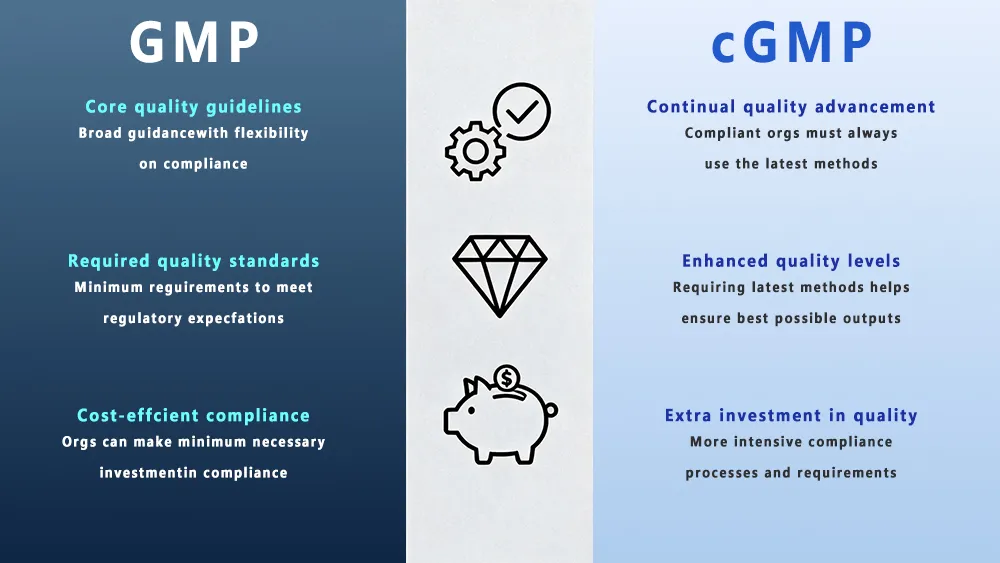 GMP vs cGMP: What Manufacturers Must Know Today 5 BPM vs. BPMc