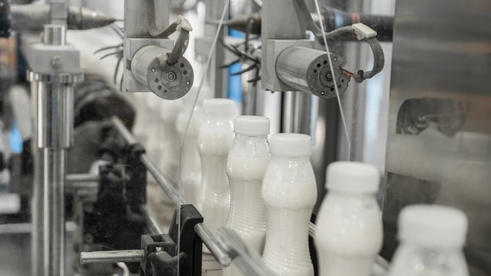 Bottling Line Equipment | Process and Types 8 Milks Filling Line