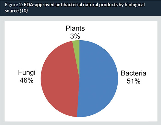 Producción de antibacterianos a partir de microorganismos