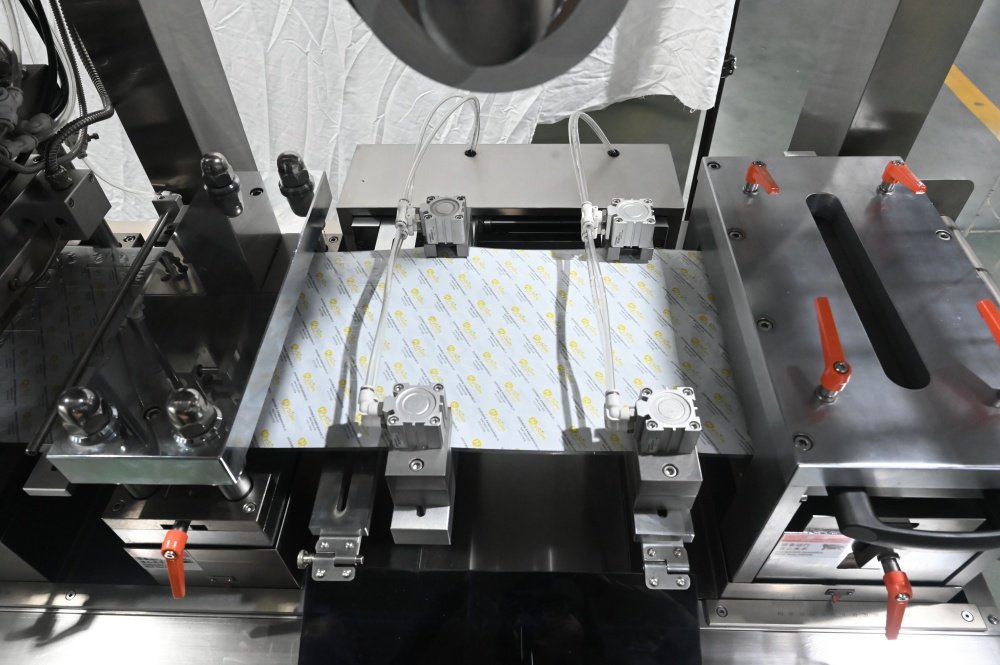 Blister Plater Stanz- und Schneidestation