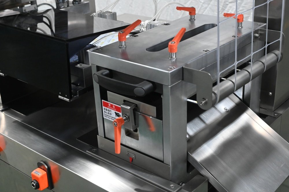 Ausgabe- und Ausleitsystem für fertige Blisterplatten