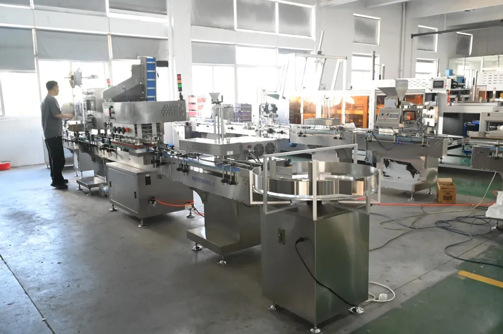 Bottle Packaging Line2