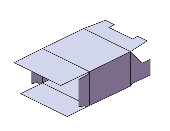 Pharmaceutical Carton: Your Complete Overview in 2026 4 Crash Lock (Auto-Lock) Carton