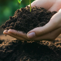 Fertilizer