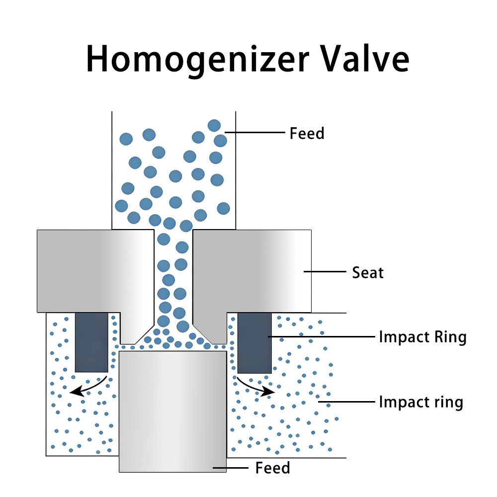 Homogenizer Valve