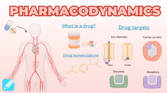 Farmacodinámica