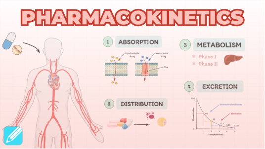 Farmacocinética