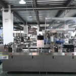 Dry Fruits Blister Packing Machine1