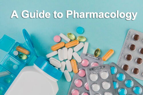 A Guide to Pharmacology: Definition, Types, and Applications