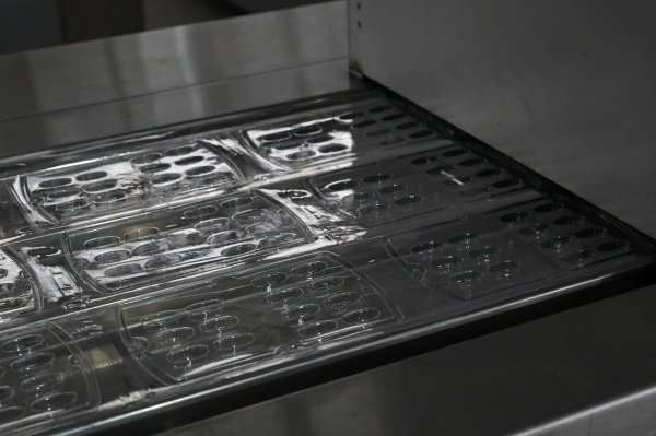 Tropische Blisterverpackungsmaschine 8 Blasenhöhle