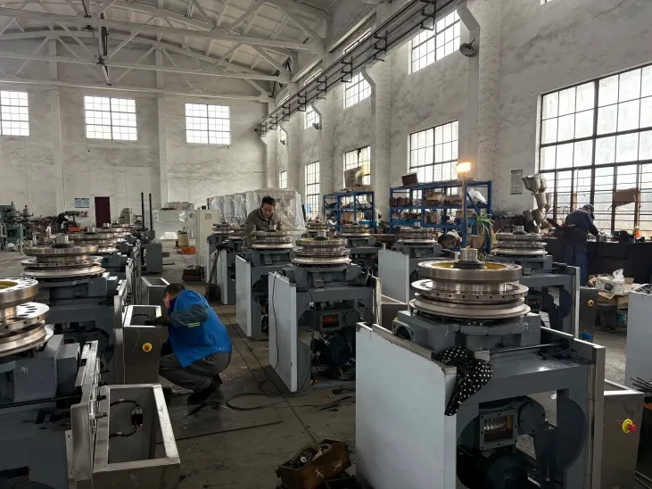 Brausetabletten-Pressmaschine 12 Fabrik für Brausetablettenpressen in China