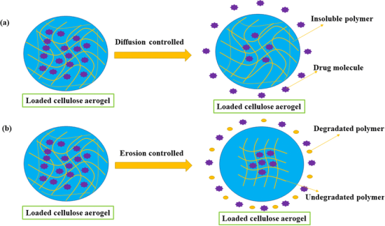 Sustained release mechanisms