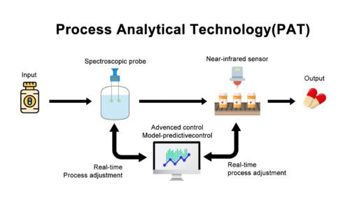 Process Analytical Technology in the Pharmaceutical Industry