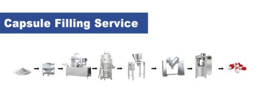 Capsule Filling Service