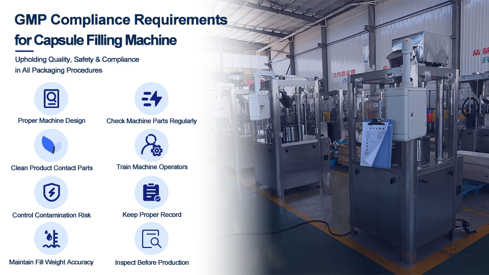 GMP Compliance Requirements For Capsule Filling Machine
